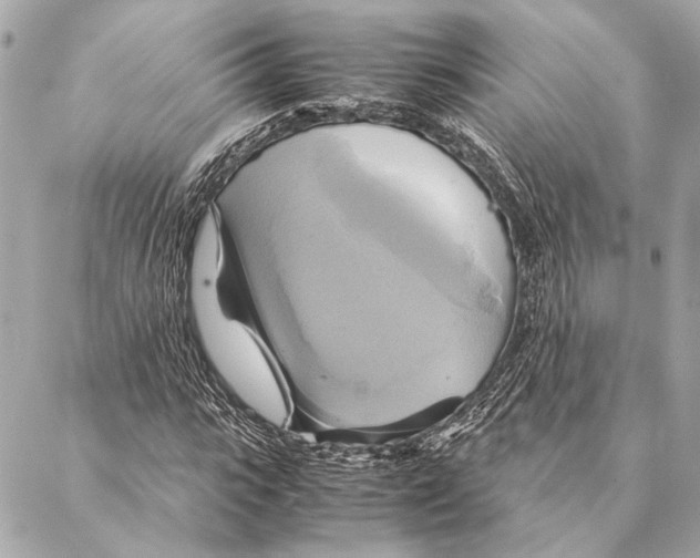 X0000086940919200705071414