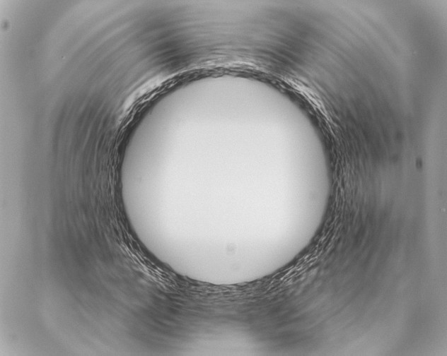 X0000086940920200705071414