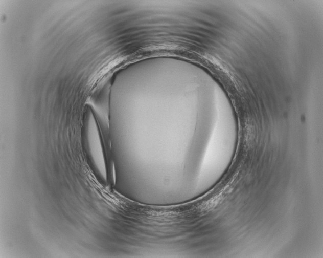 X0000086940921200705071414