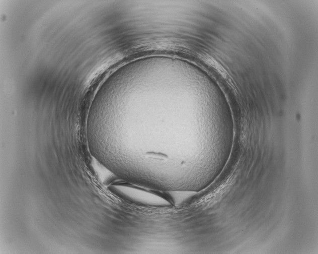 X0000086940922200705071414