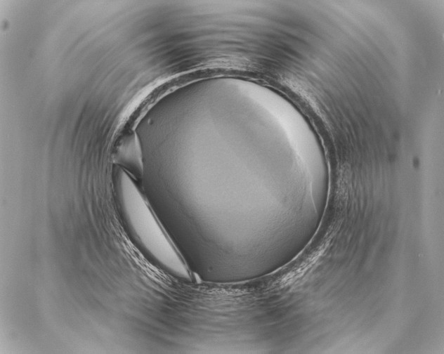 X0000086940923200705071414