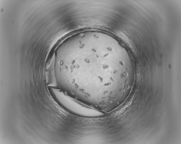 X0000086940924200705071414