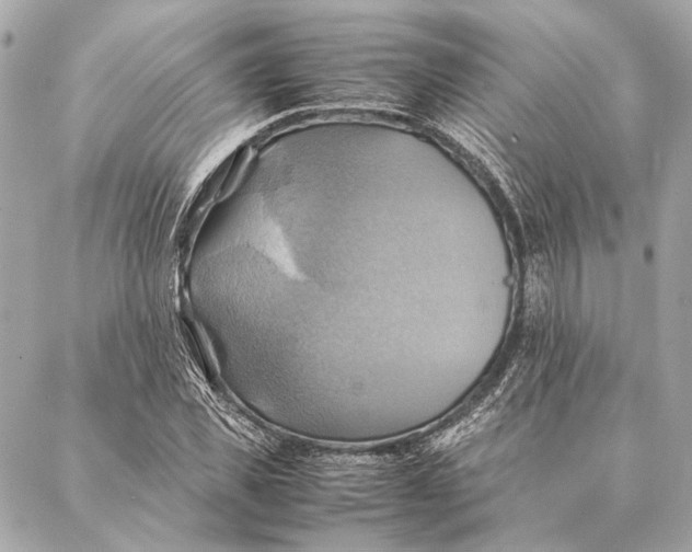 X0000086940925200705071414