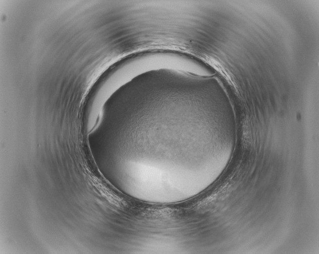 X0000086940926200705071414