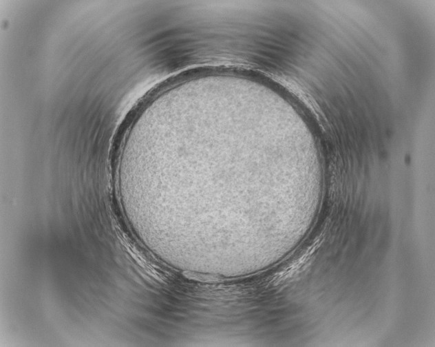 X0000086940927200705071414