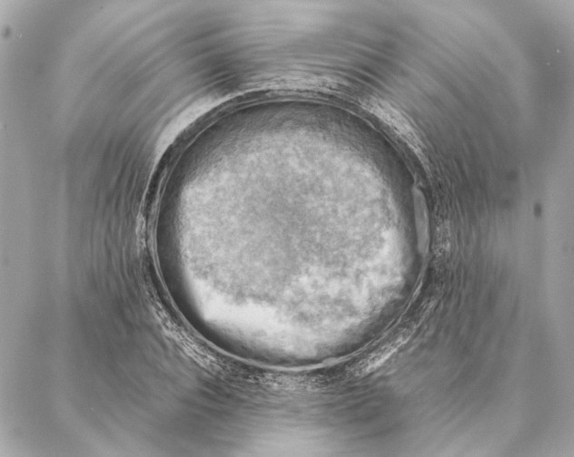 X0000086940928200705071414