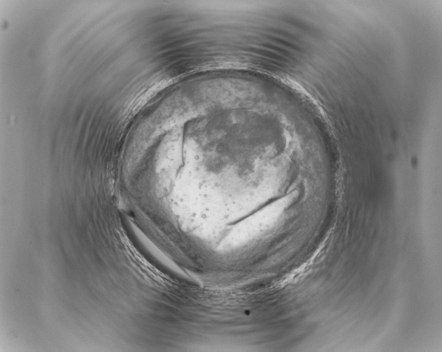 X0000086940929200705071414