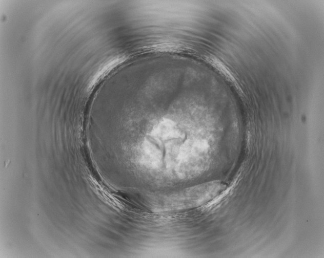 X0000086940930200705071414