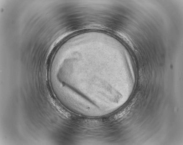 X0000086940931200705071414