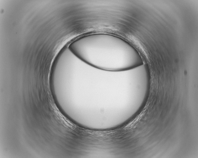 X0000086940932200705071414