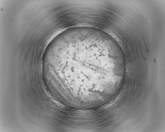 X0000086940933200705071414