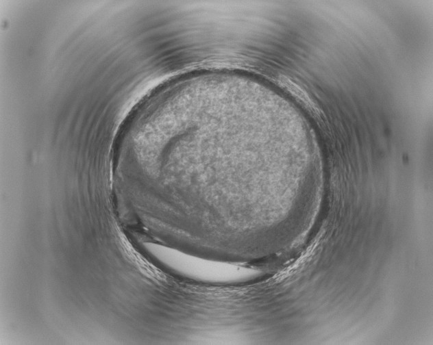 X0000086940934200705071414