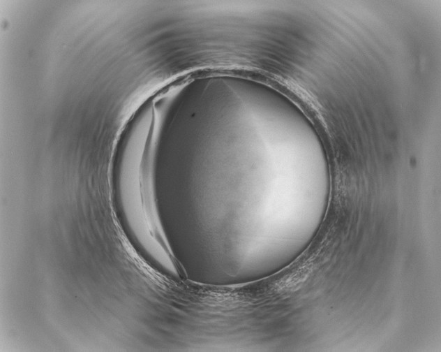 X0000086940935200705071414