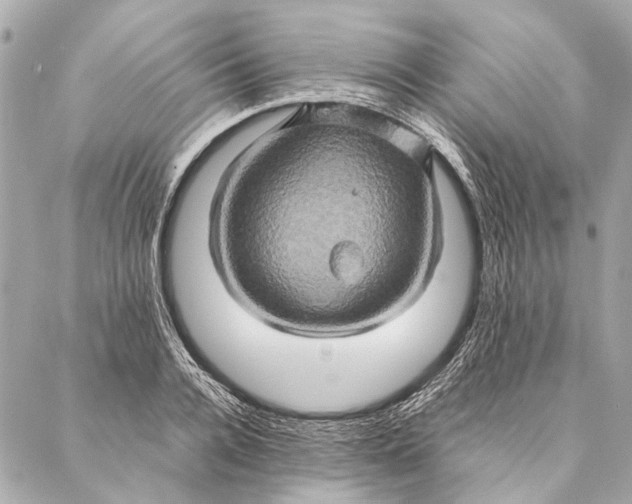 X0000086940936200705071414