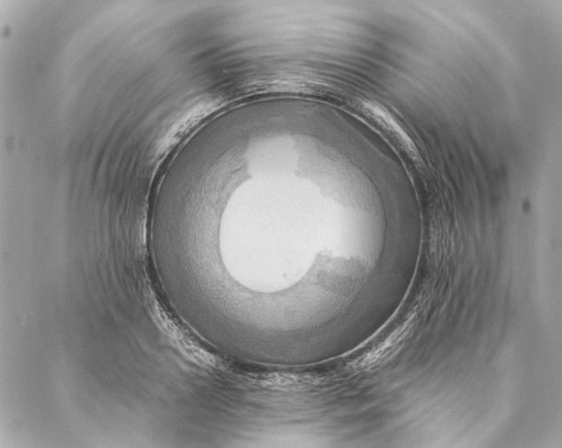 X0000086940938200705071414