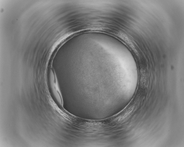 X0000086940939200705071414