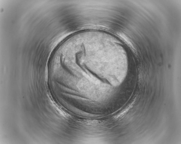 X0000086940940200705071414