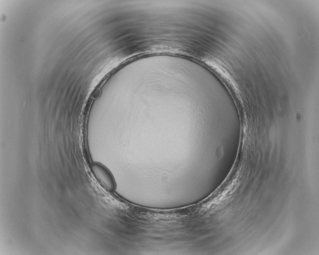 X0000086940941200705071414