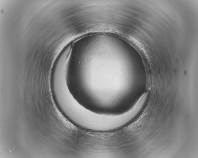 X0000086940942200705071414