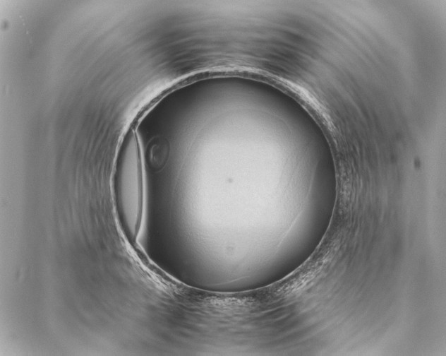 X0000086940943200705071414