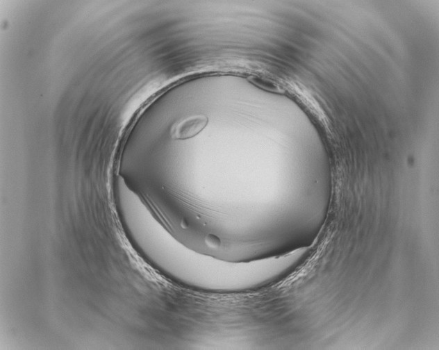 X0000086940944200705071414