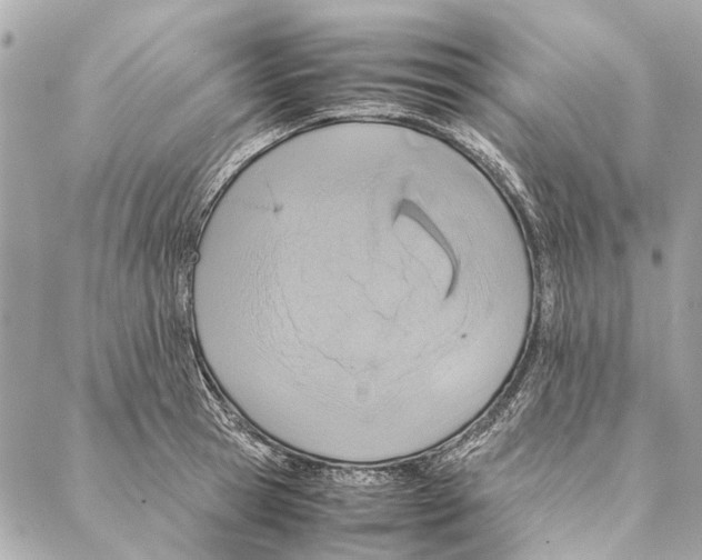 X0000086940945200705071415