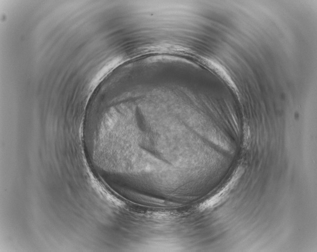 X0000086940946200705071415