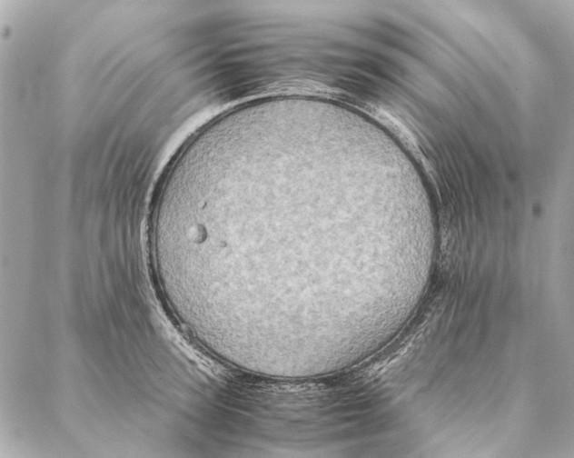 X0000086940947200705071415