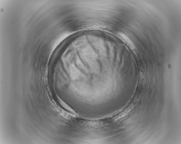 X0000086940948200705071415