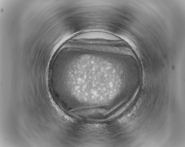 X0000086940949200705071415