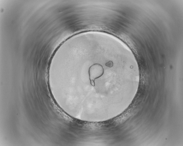 X0000086940950200705071415