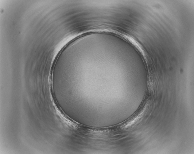 X0000086940951200705071415