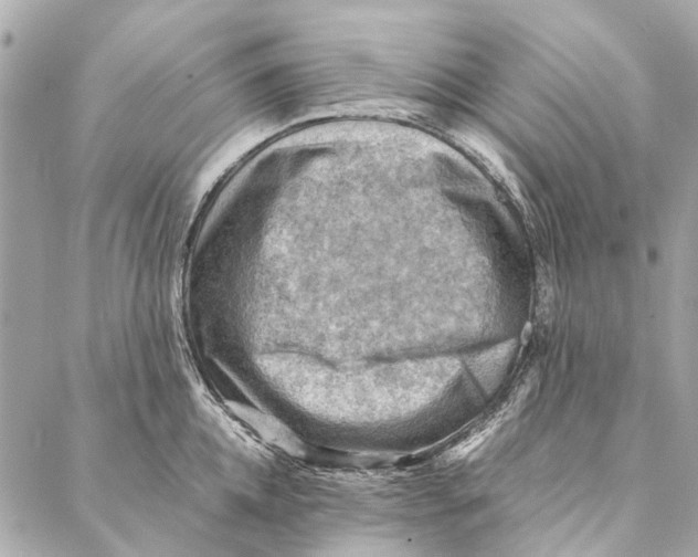 X0000086940952200705071415