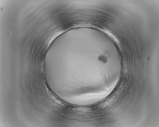 X0000086940953200705071415