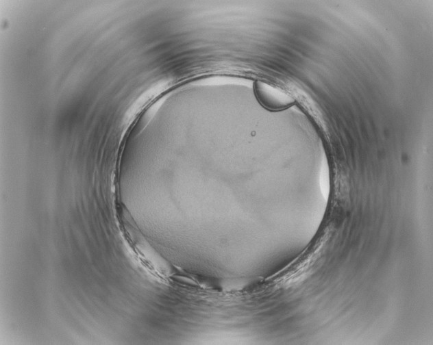 X0000086940954200705071415