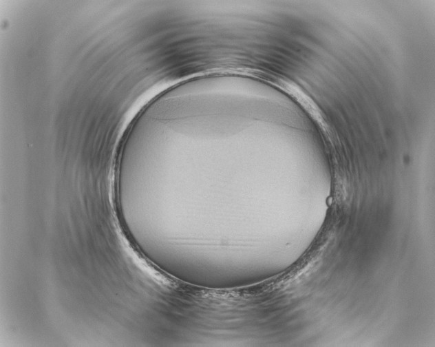 X0000086940955200705071415