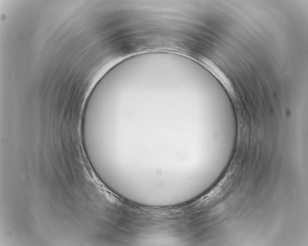 X0000086940956200705071415