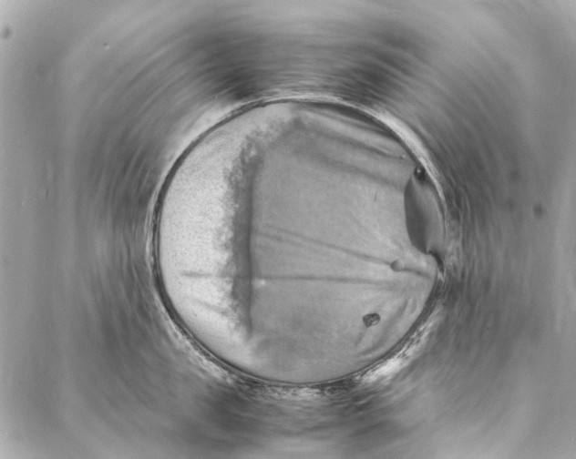 X0000086940957200705071415