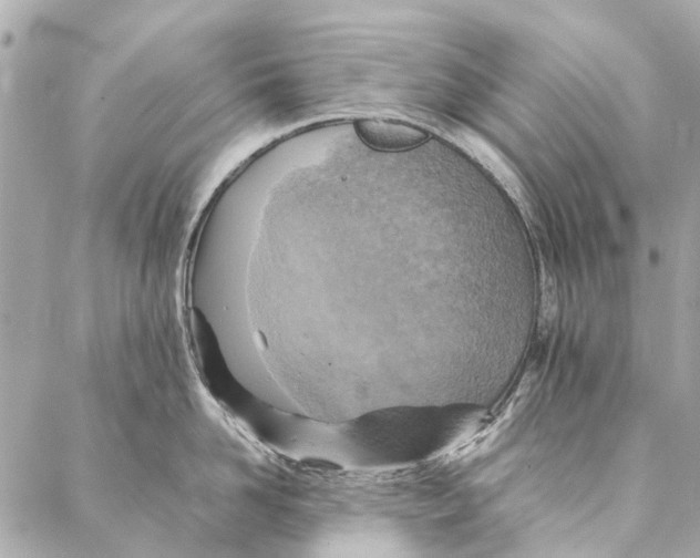 X0000086940958200705071415