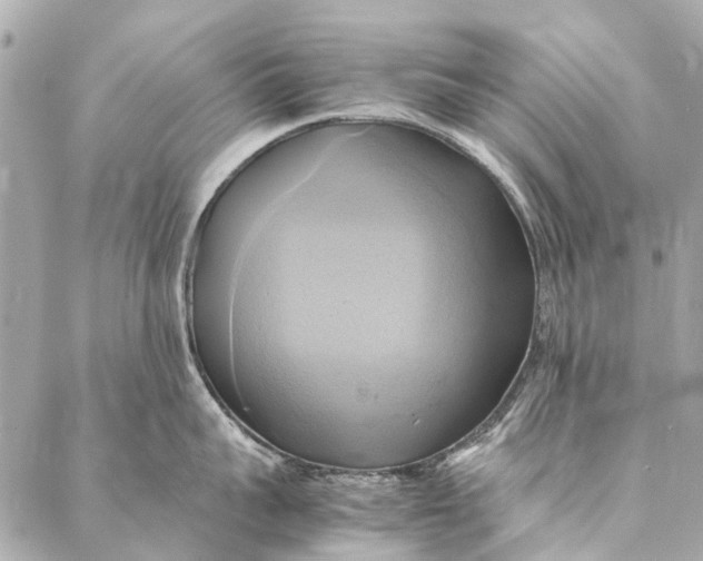 X0000086940959200705071415