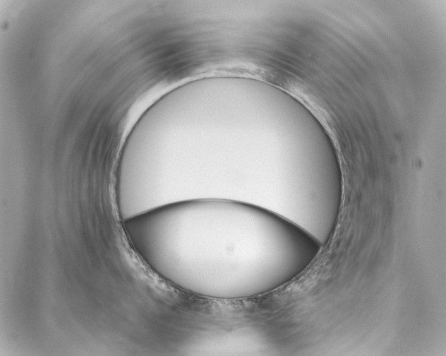 X0000086940960200705071415