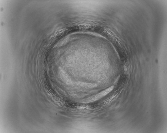 X0000086940961200705071414