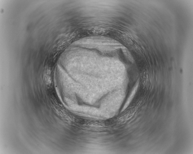 X0000086940962200705071414