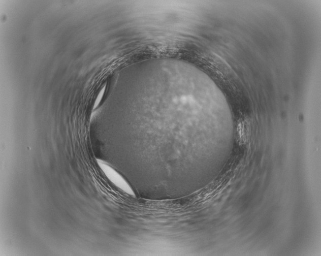 X0000086940963200705071414