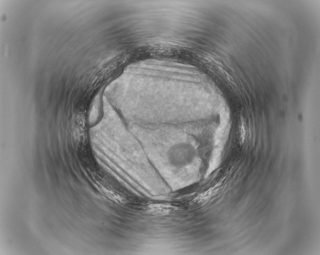 X0000086940964200705071414