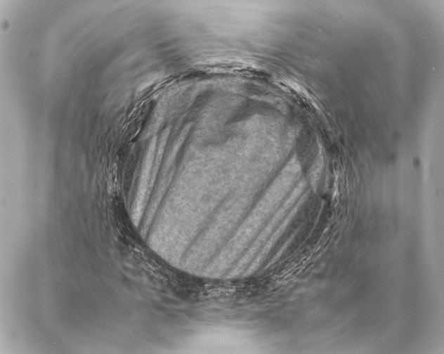 X0000086940965200705071414