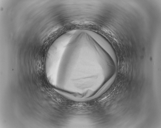 X0000086940966200705071414