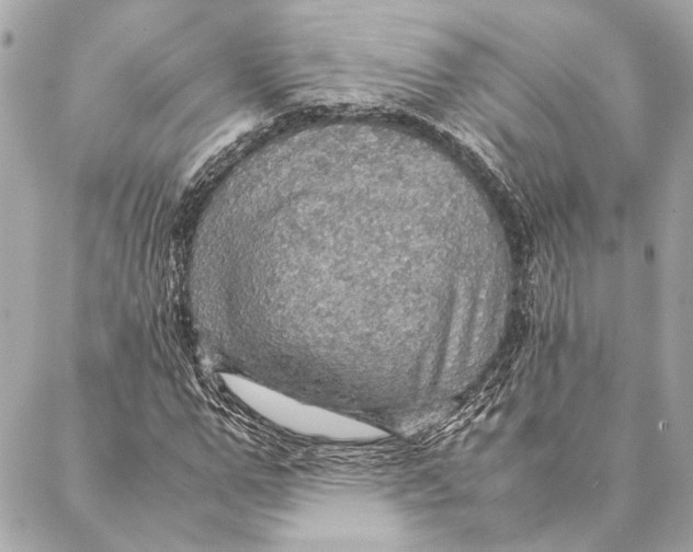 X0000086940967200705071414