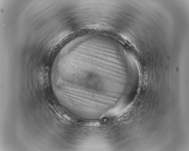 X0000086940968200705071414