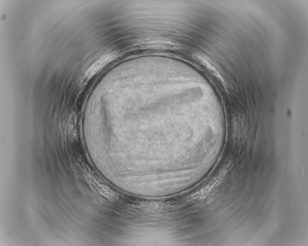 X0000086940970200705071414